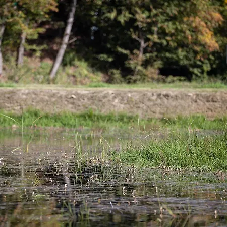 Jaktstuga The Early Birds